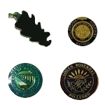 Custom Cloisonne Lapel Pins